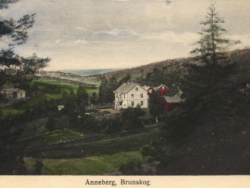Anneberg 1916, Brunskog 